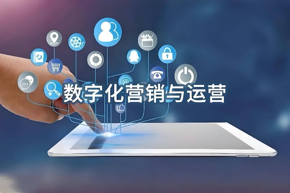 本地企业数字化需求激增，定制化网站成企业基建核心选择